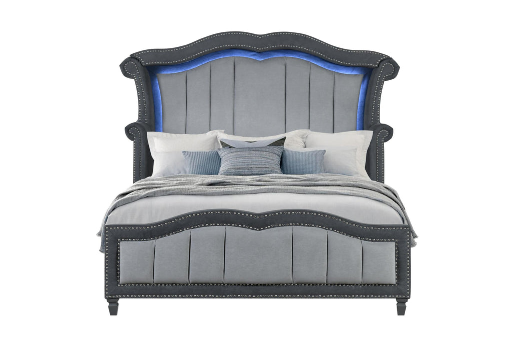 VANNA DARK GREY QUEEN BED - Golden Home Furniture (Columbus, OH) - Multi Location