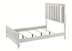Crown Mark Furniture Cressida Queen Upholstered Panel Bed in White B7300-Q - Golden Home Furniture (Columbus, OH) - Multi Location