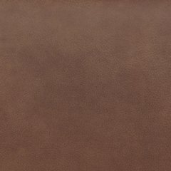Status Check Recliner - Golden Home Furniture 