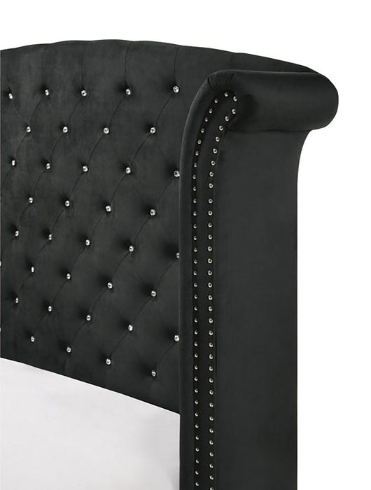 Crown Mark Furniture Lucinda King Upholstered Panel Bed in Black B9265-K - Golden Home Furniture (Columbus, OH) - Multi Location