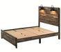 Crown Mark Furniture Carter King Platform Bed in Brown - Golden Home Furniture (Columbus, OH) - Multi Location