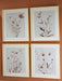 Chettings Wall Art (Set of 4) - Golden Home Furniture (Columbus, OH) - Multi Location