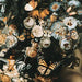 Valfer Wall Art - Golden Home Furniture 