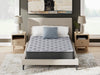 Comfort Plus Mattress - Golden Home Furniture (Columbus, OH) - Multi Location