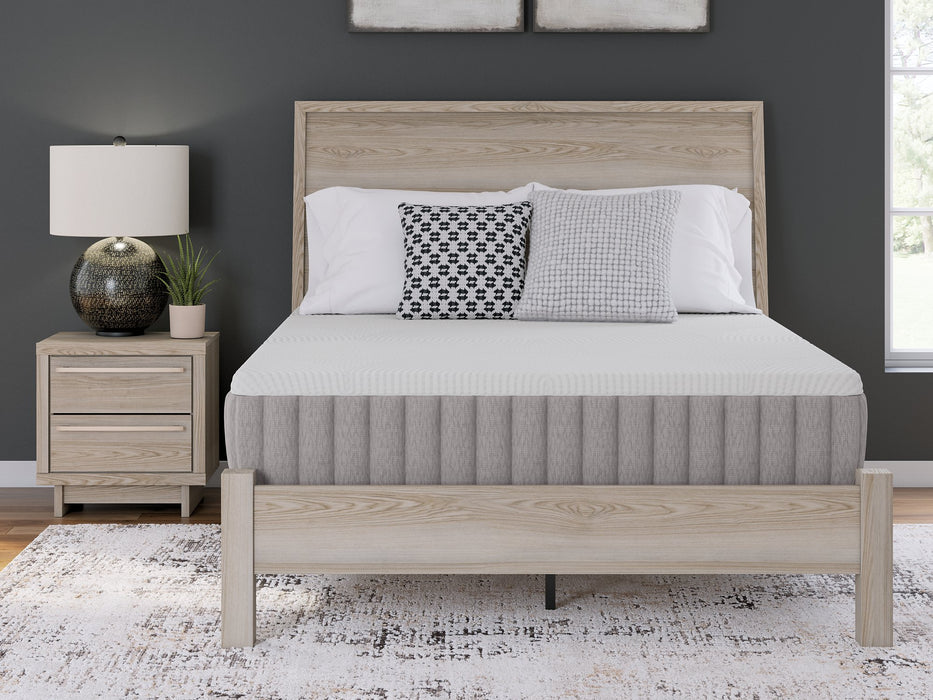 Terra Sleep Medium Mattress - Golden Home Furniture (Columbus, OH) - Multi Location
