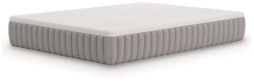 Terra Sleep Medium Mattress - Golden Home Furniture (Columbus, OH) - Multi Location