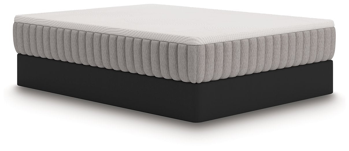 Terra Sleep Medium Mattress - Golden Home Furniture (Columbus, OH) - Multi Location