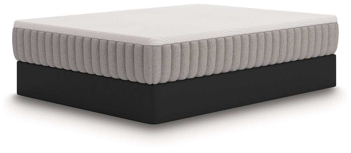 Terra Sleep Medium Mattress - Golden Home Furniture (Columbus, OH) - Multi Location