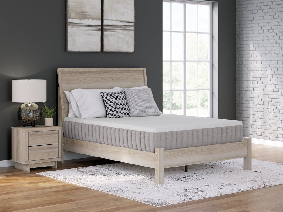 Terra Sleep Medium Mattress - Golden Home Furniture (Columbus, OH) - Multi Location