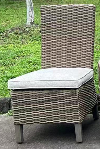Laguna Heights Side Chair with Cushion (Set of 2) - Golden Home Furniture 