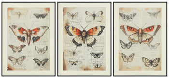 Jossletts Wall Art (Set of 3) - Golden Home Furniture (Columbus, OH) - Multi Location