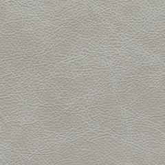 Amiata Upholstery Package - Golden Home Furniture (Columbus, OH) - Multi Location