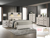 CARTER QN PLATFORM BED 1 BOX WHITE - Golden Home Furniture (Columbus, OH) - Multi Location