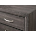 Crown Mark Akerson 2 Drawer Nightstand in Grey - Golden Home Furniture (Columbus, OH) - Multi Location